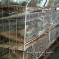 industrial breeding rabbit cage (anping factory)3 or 4 layer